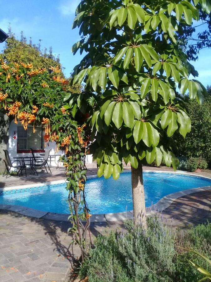 Clouds Guest House Durbanville Extérieur photo